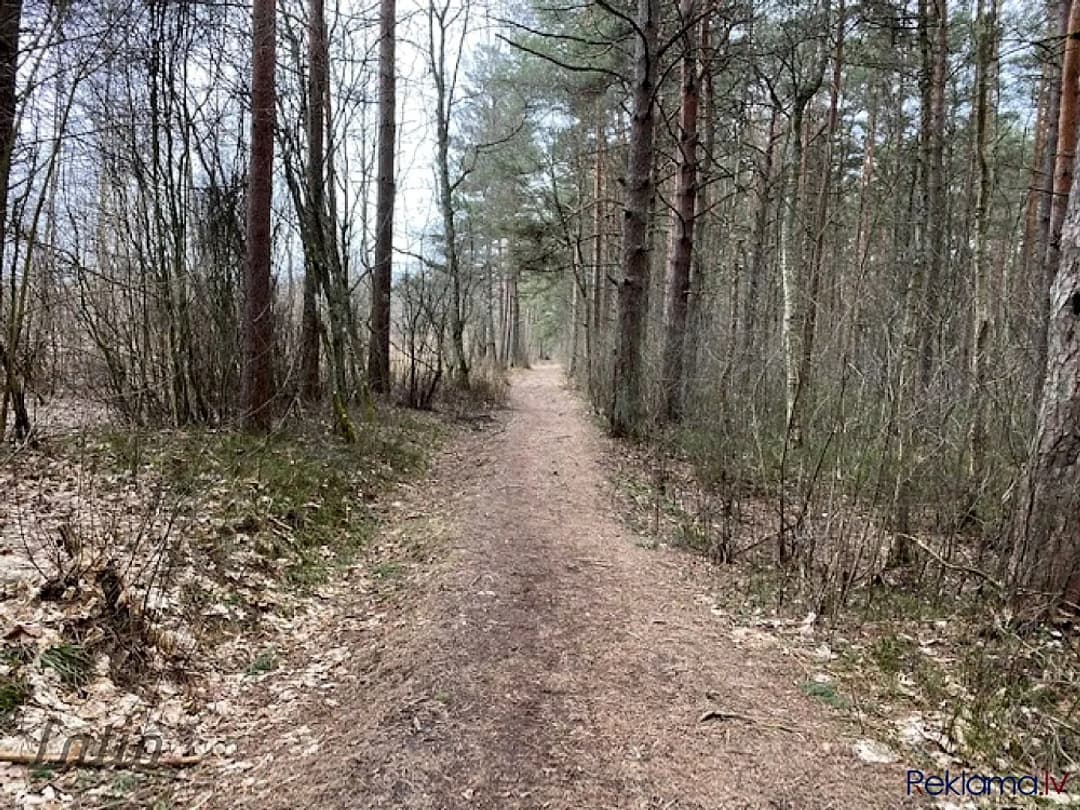 Tiek pārdots ekskluzīvs zemes gabals ļoti skaistā vietā jūras tuvumā savrupmājas — vēl bildes