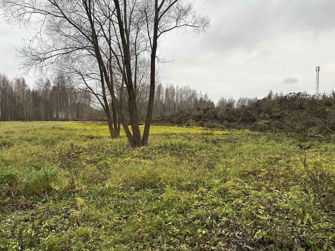 Zolitūde, Rīga — bilde 2