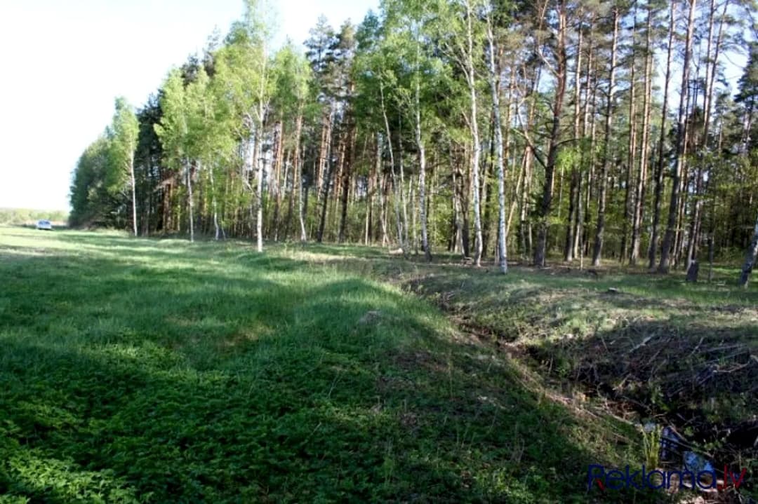 Pārdod apbūves zemi Lielupes krastā, 20km no Rīgas, netālu no A9 šosejas (Rīga Liepāja). — vēl bildes