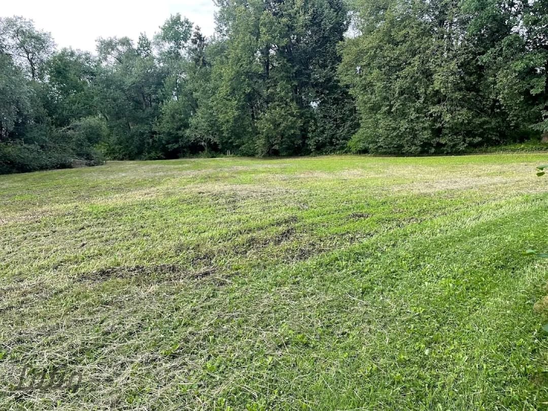 Zeme, 7929㎡ - Limbažu novads, Limbaži — bilde 4